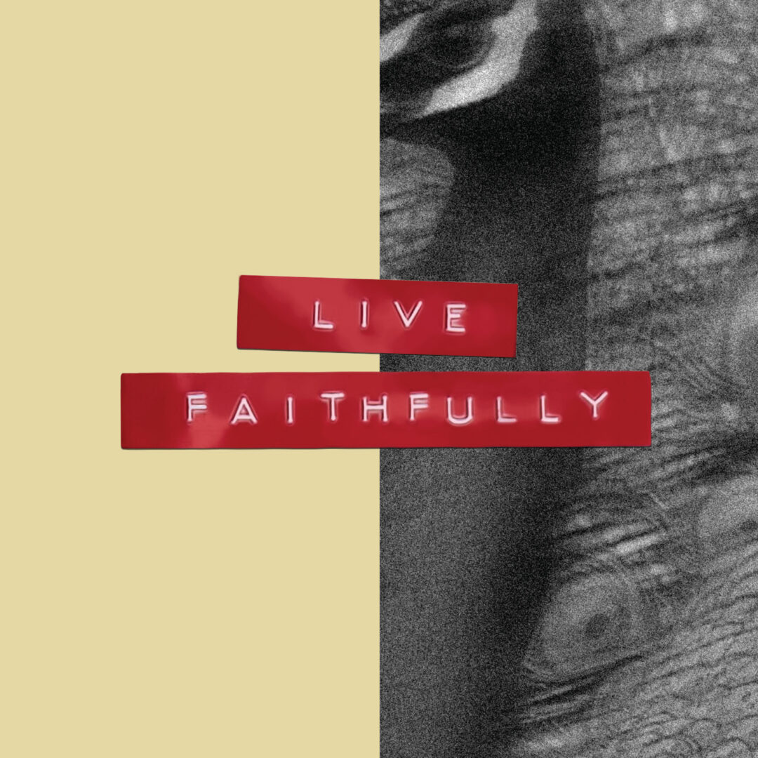 Sheologie Live Faithfully 2026