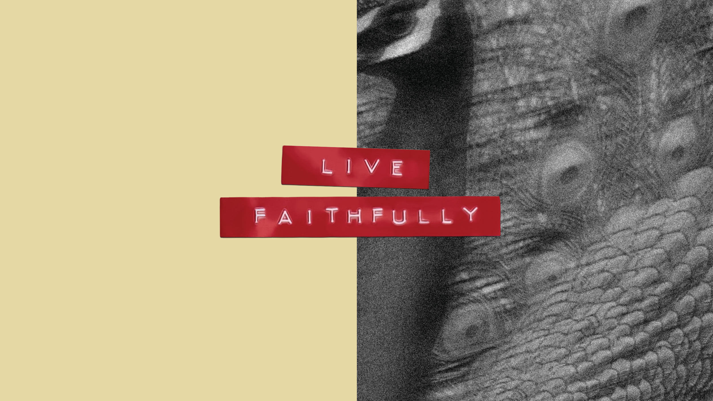 Sheologie Live Faithfully 2026
