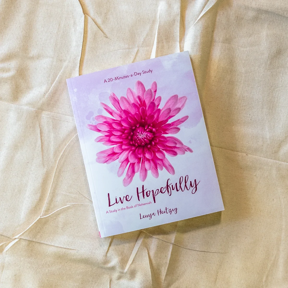 Sheologie Book Fresh Life: Live Hopefully