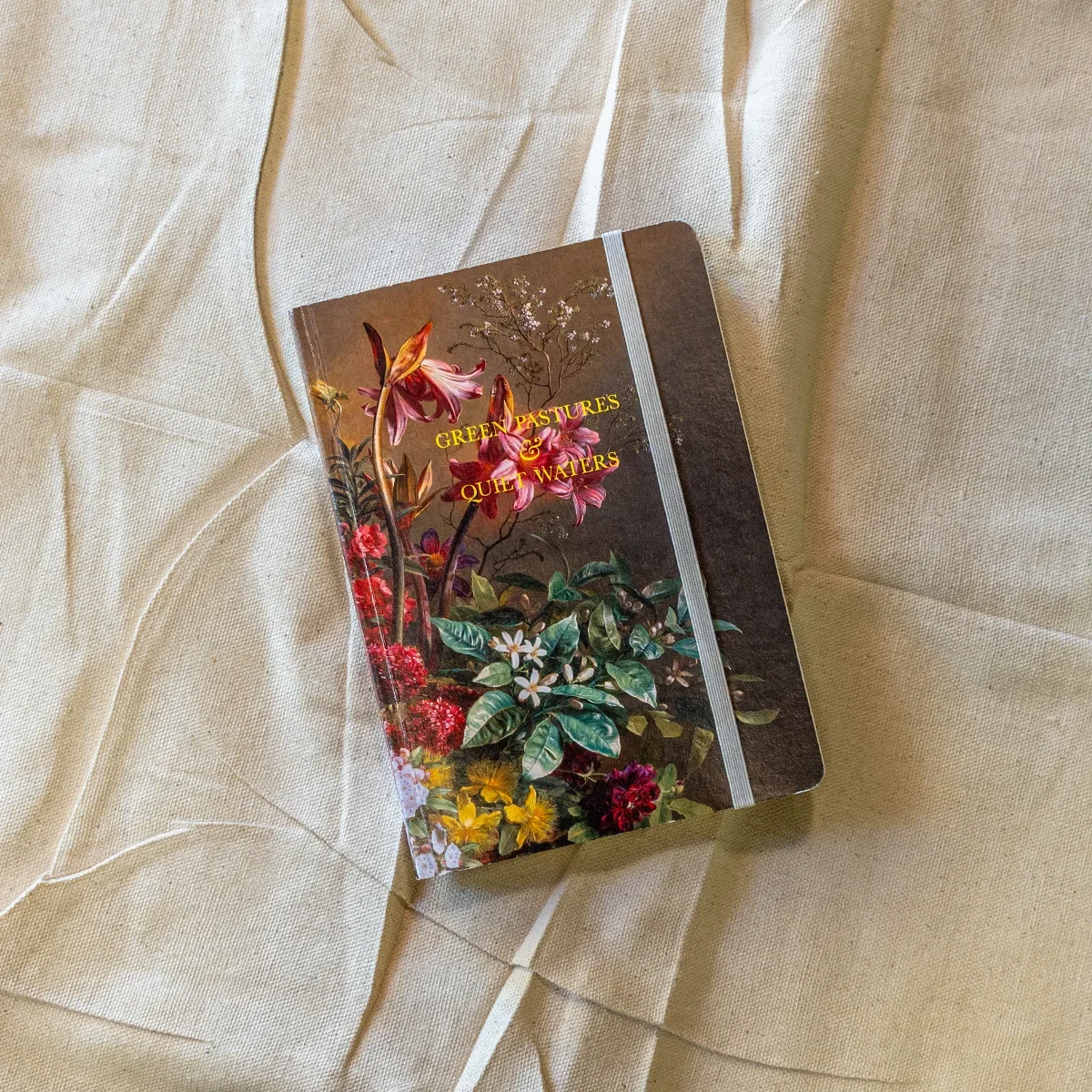 Sheologie Journal: Green Pastures and Quiet Waters