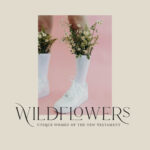 Sheologie Wildflowers Series, 2021