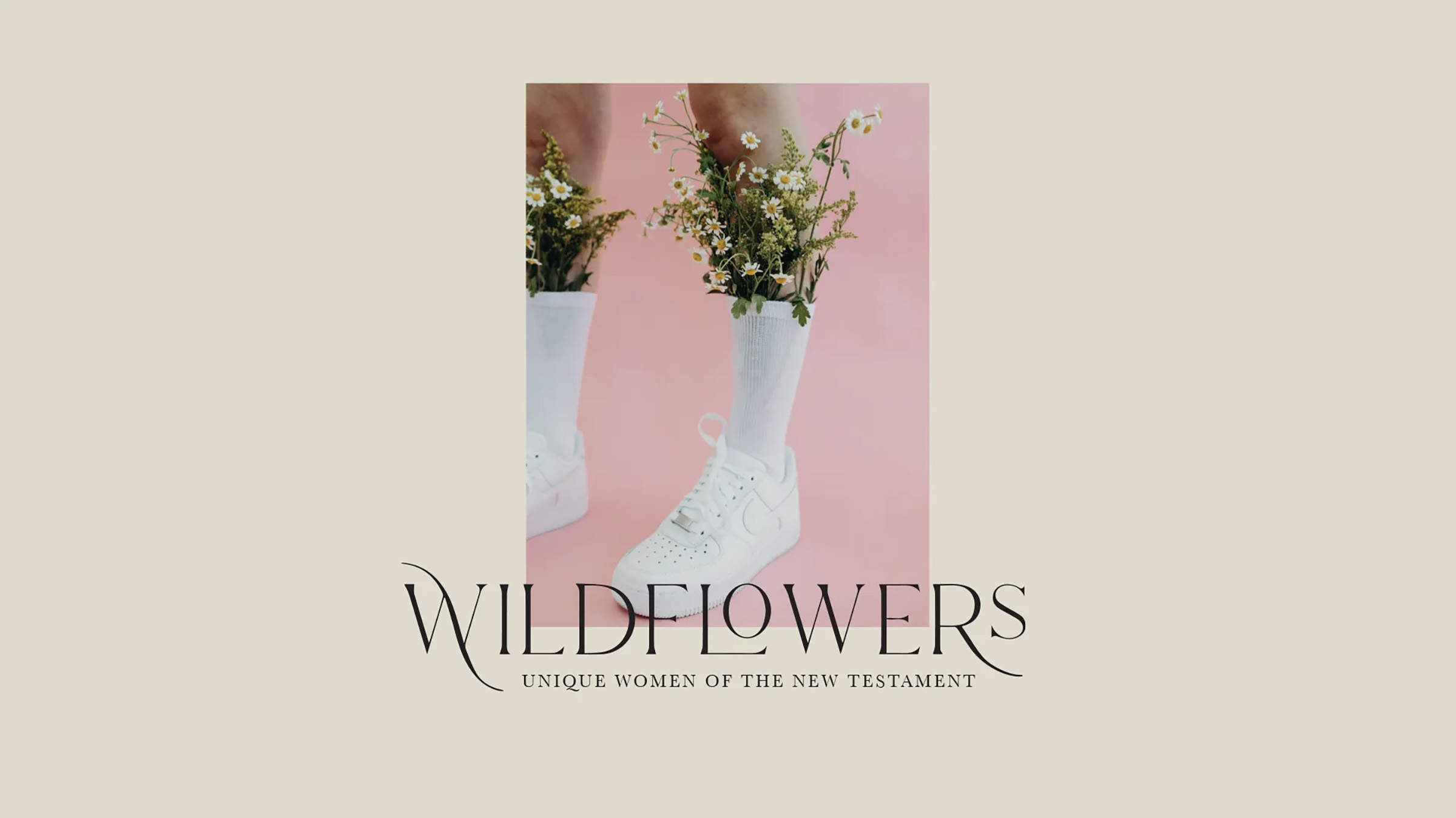 Sheologie Wildflowers Series, 2021